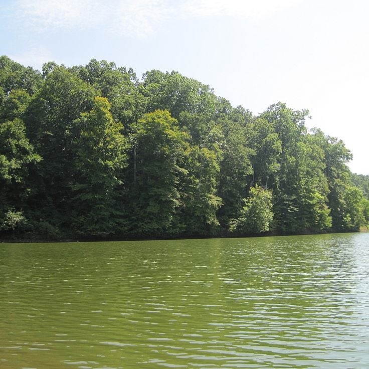 Village Creek State Park