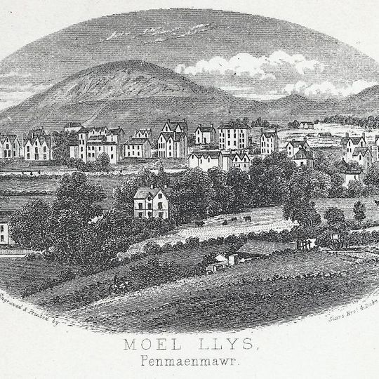 Foel Lus