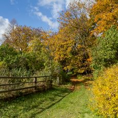 Парк (Крутец)