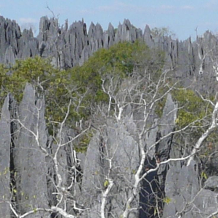 Tsingy de Bemaraha National Park
