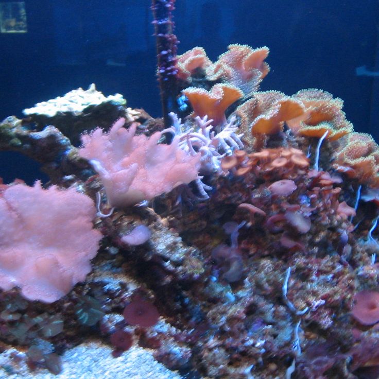 Centre de Recherche Marine