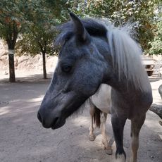 Jardin Animalier de Mialet