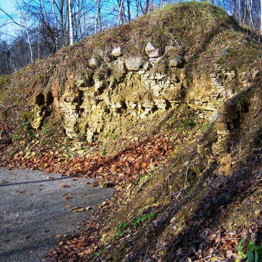 Stirniškių atodanga