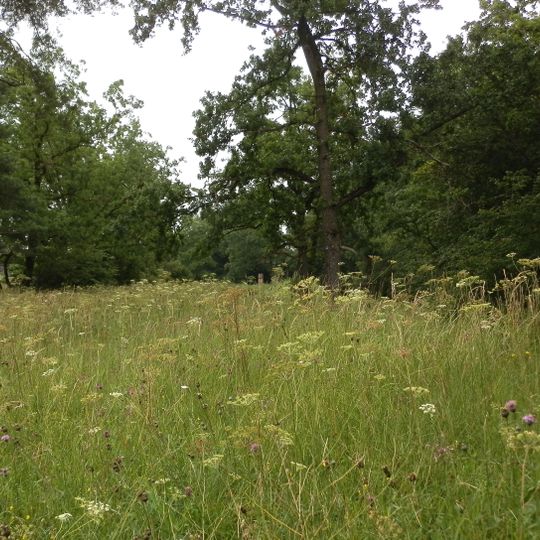 Kuhschellenrasen Wirt am Berg