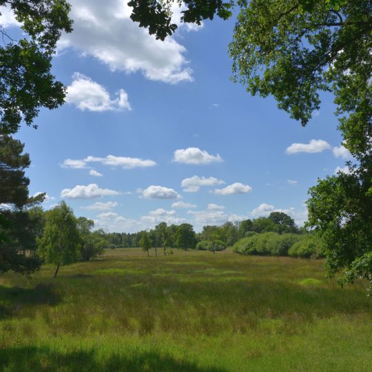 Kinderberg und Stellbachniederung