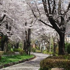 千年谷公園