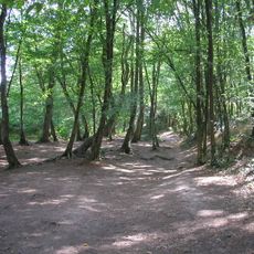 Forêt de Paimpont