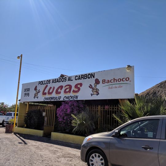 Pollo Lucas