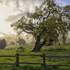 Santa Teresa County Park
