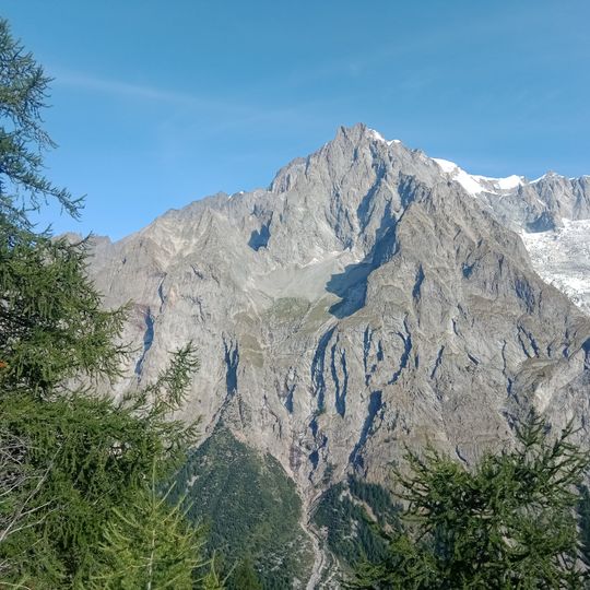 Fauteuil des Allemands