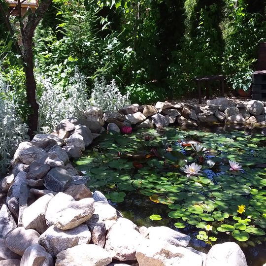 Borika Bothanical garden