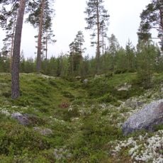 Ollisbackenin–Brantbackenin muinaisjäännösalue