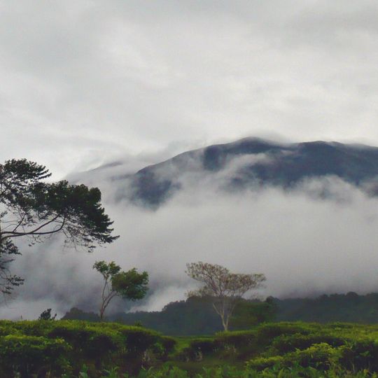Nationalpark Gunung Gede-Pangrango