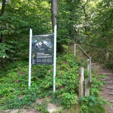 Wellspanger-Loiter-Oxbek-System und angrenzende Wälder