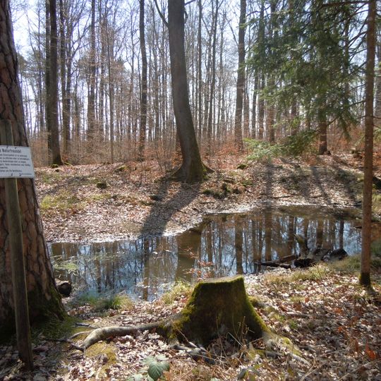 Sandgrube Bei der Oberen Steige