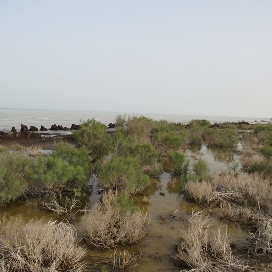 Jezioro Sarykamyskie