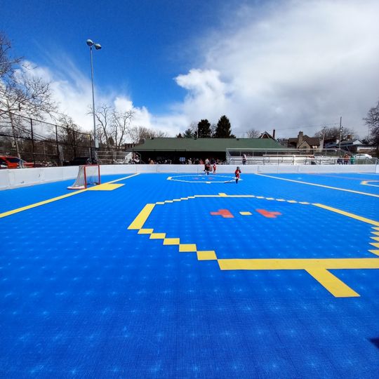 Team Pittsburgh Dekhockey