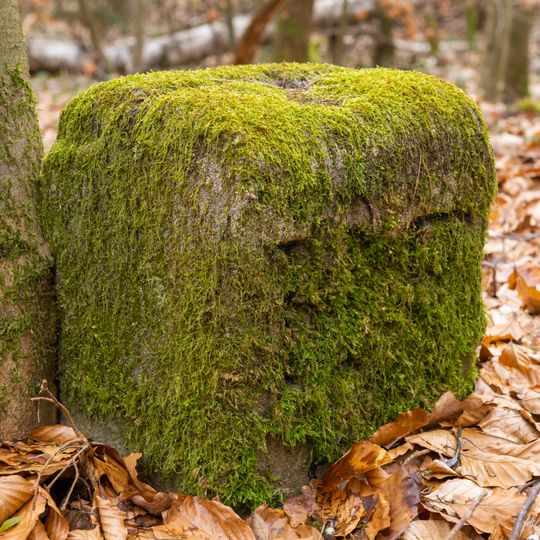Grenzstein Fürther Stadtwald in Fürth