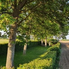 Jüdischer Friedhof Würselen-Broichweiden