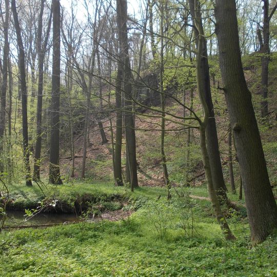 Kirstenmühle-Schanzenbachtal