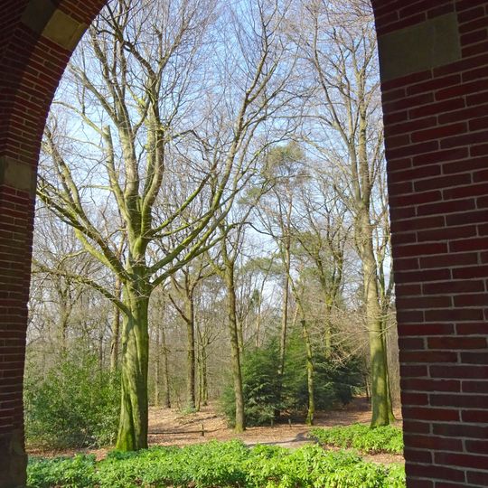 Het Luntersche Buurtbosch: bosaanleg