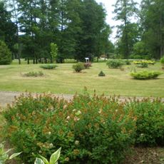 Vilniaus universiteto Botanikos sodas