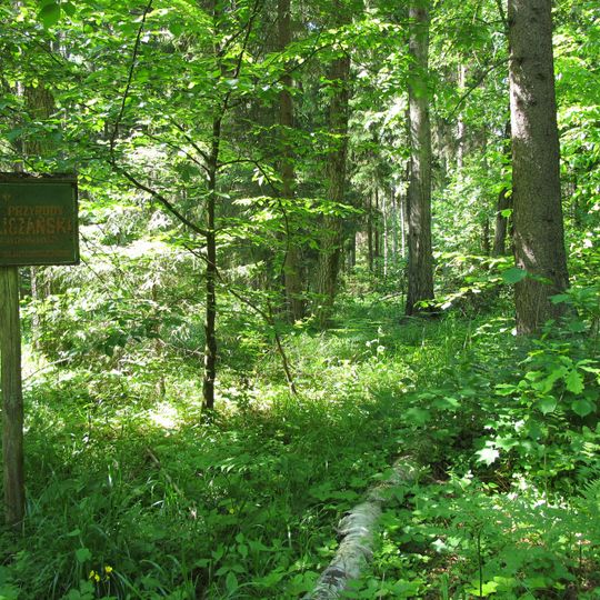 Nature reserve Las Cieliczański