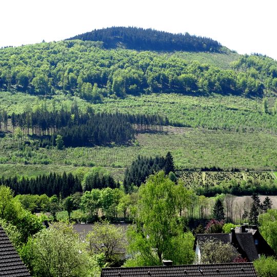 Hangwälder des Olsberges