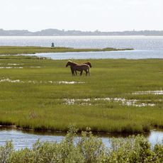 Assateague State Park