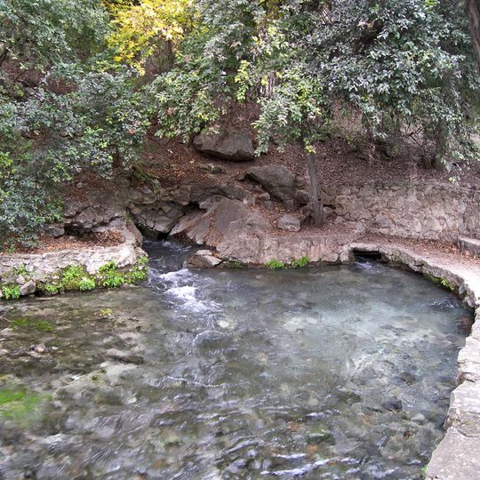 Comal Springs