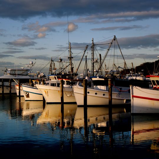 Port Stephens
