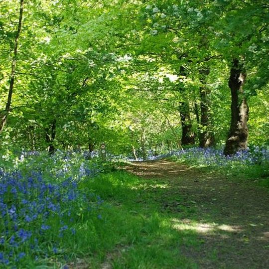 Saltwells Local Nature Reserve