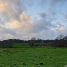 Wald nordwestlich Boksee
