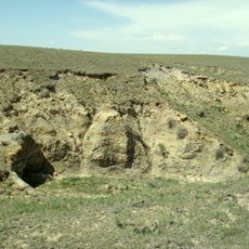 Laramie Formation