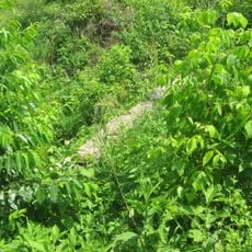 Wabash and Erie Canal Culvert No. 100
