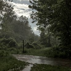 Kühkopf-Knoblochsaue