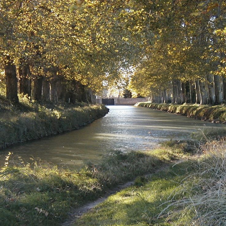 Canal du Midi