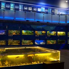 Дом-аквариум