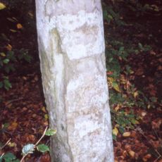 Milestone, Nettlebed Woods, half way down the straight