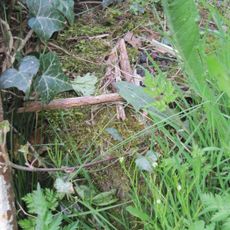 Milepost, S of Wem by railway bridge