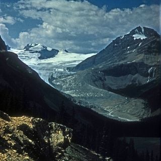 Peyto-Gletscher