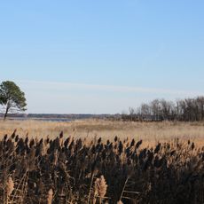 Eastern Neck National Wildlife Refuge