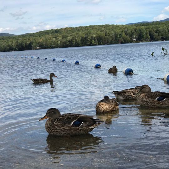 Canaan Street Lake Beach