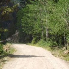 Fall River Road