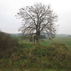 Kříž jižně od Koupě u rybníka