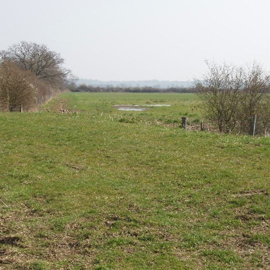 Otmoor RSPB reserve
