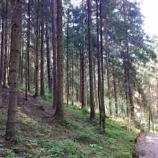 Category:Toksovo Heights