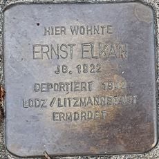 Ernst Elkan