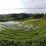 Belimbing Rice Terraces