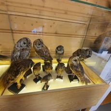 Centrum Promocji i Ochrony Torfowisk w Chochołowie